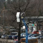 Mieten Sie unsere Hebebühne in Olpe und Umgebung
